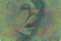 IMG_20260227_0019-Cropped