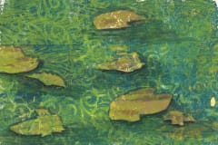 IMG_20260227_0020-Cropped